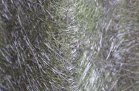 Gorgie fibreglass roof work